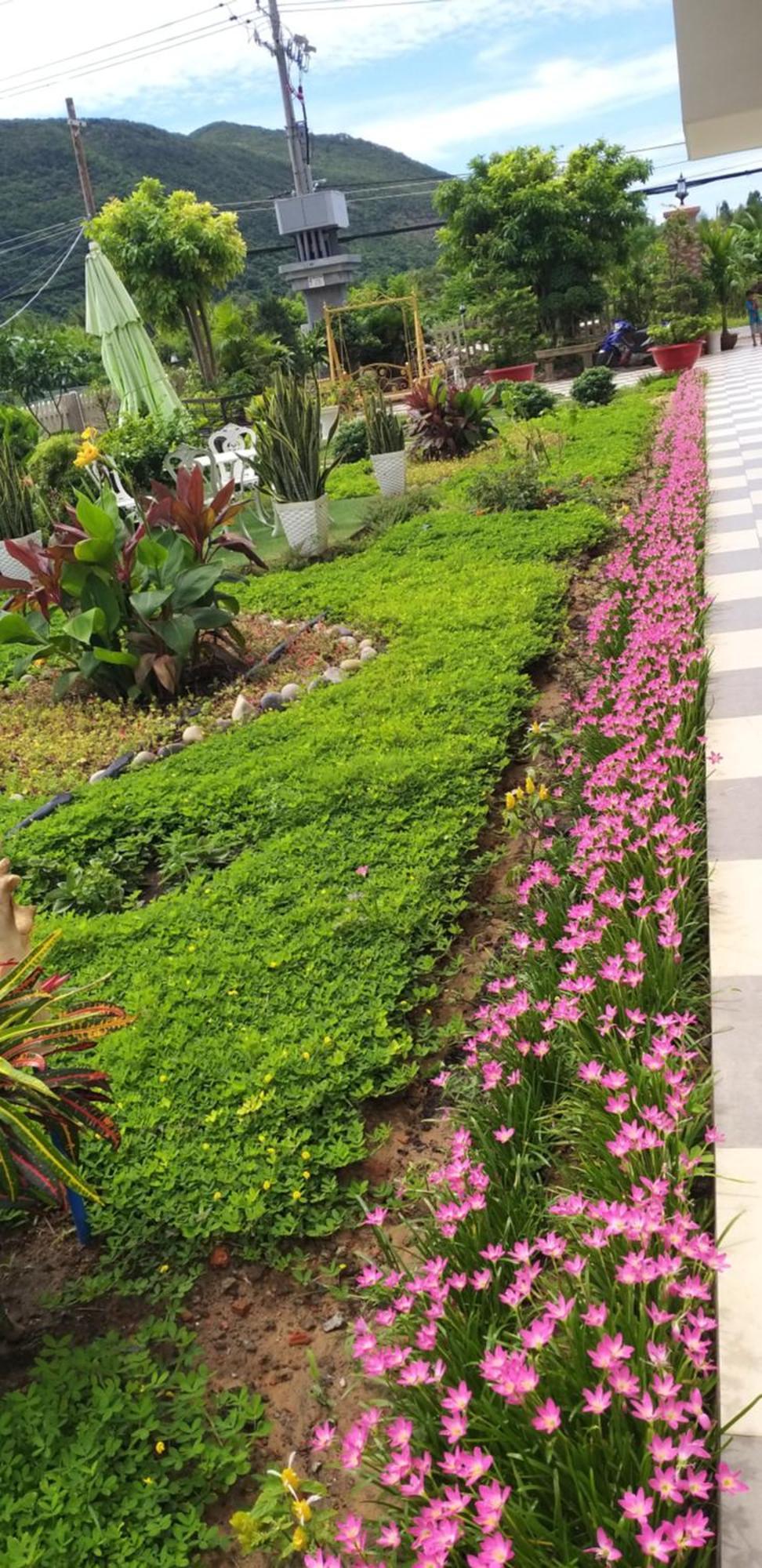 Garden House Con Dao Aparthotel Chi Khu Co Ong Eksteriør bilde